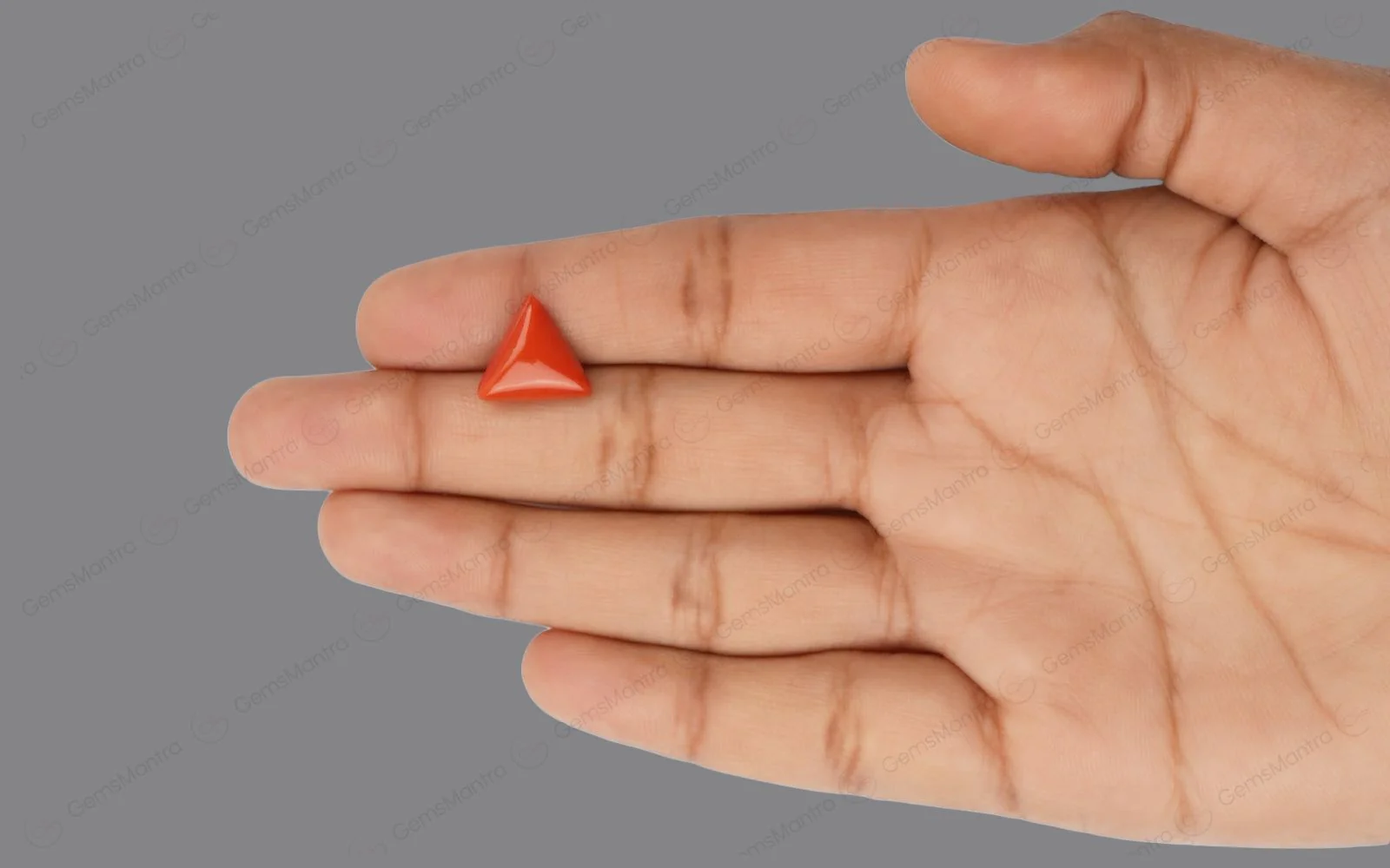 Red Coral - 4.57 Carats - Image 3