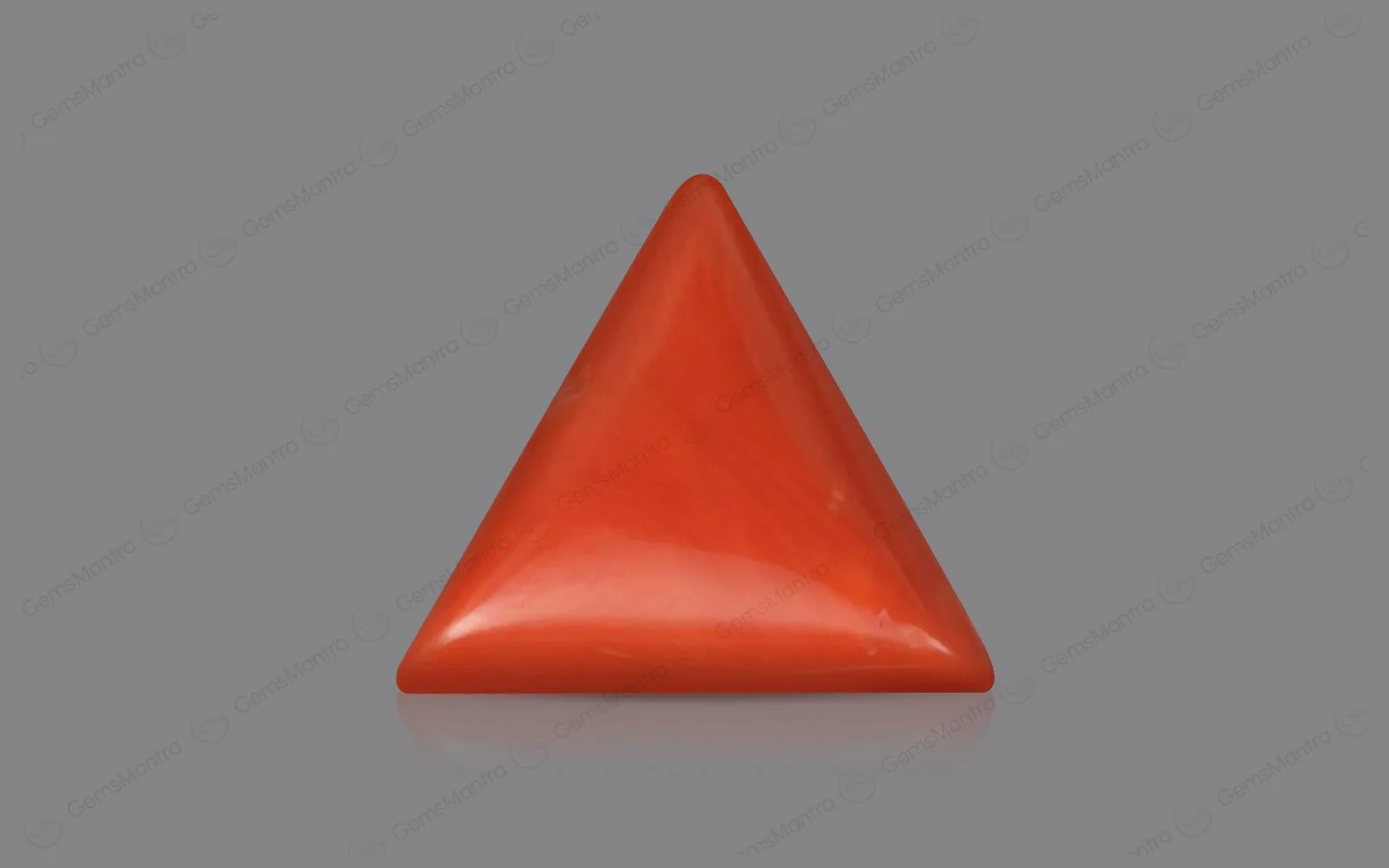Red Coral - 4.82 Carats - Image 2