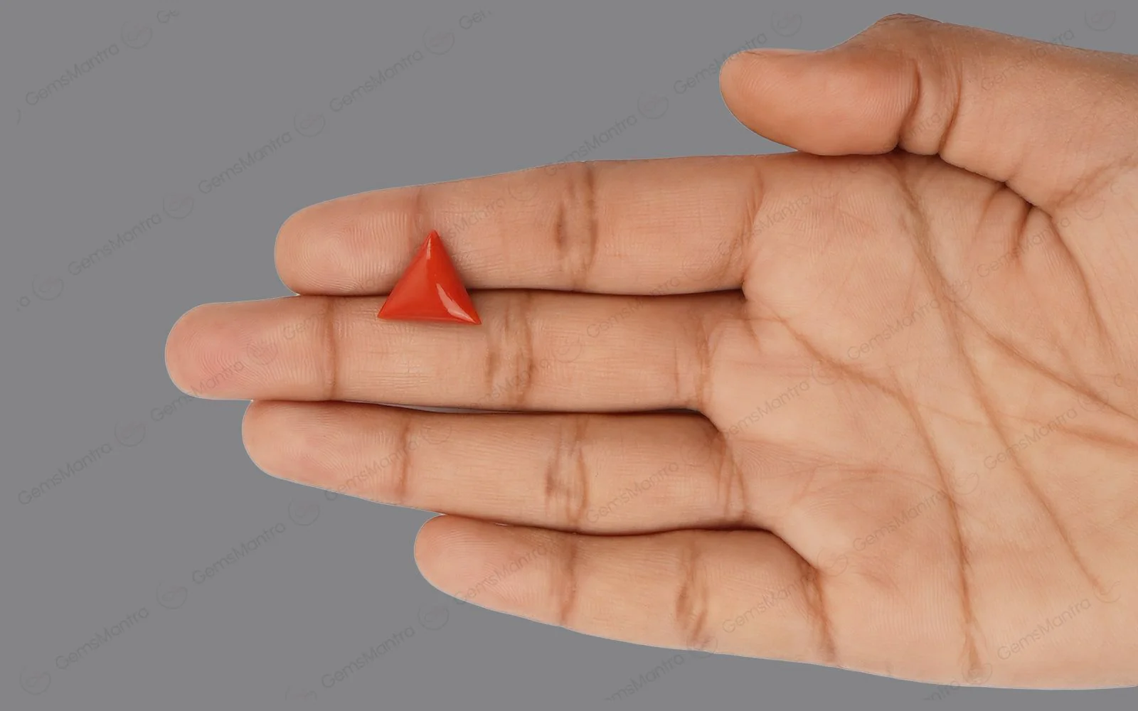Red Coral - 4.82 Carats - Image 3