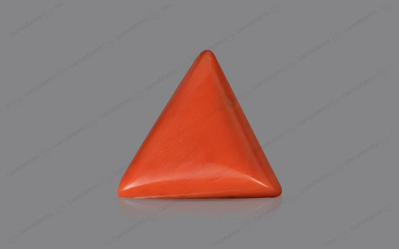 Red Coral - 4.7 Carats - Image 2