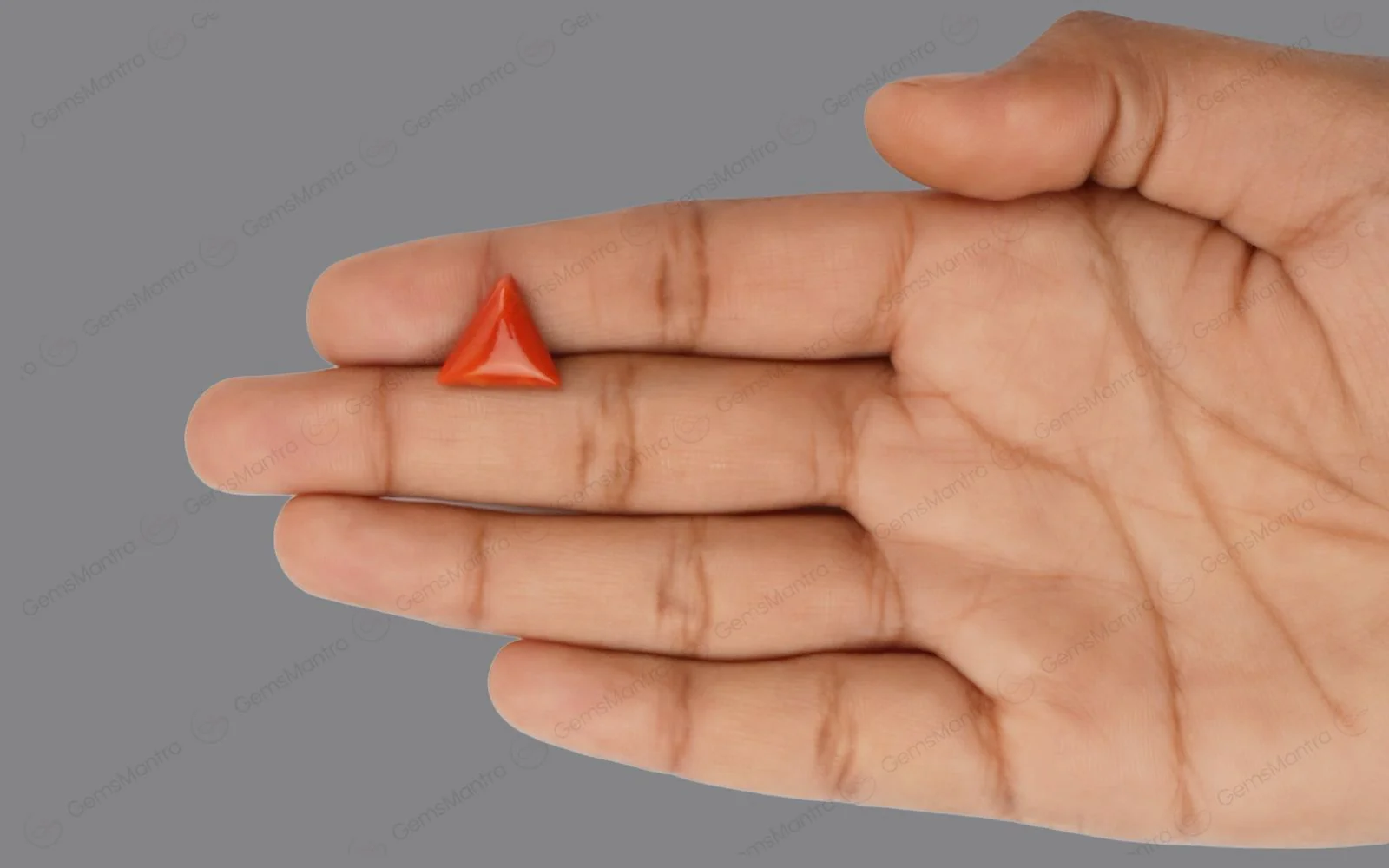 Red Coral - 4.7 Carats - Image 3