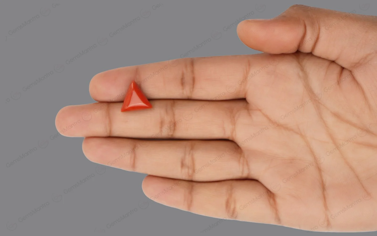 Red Coral - 5.03 Carats - Image 3