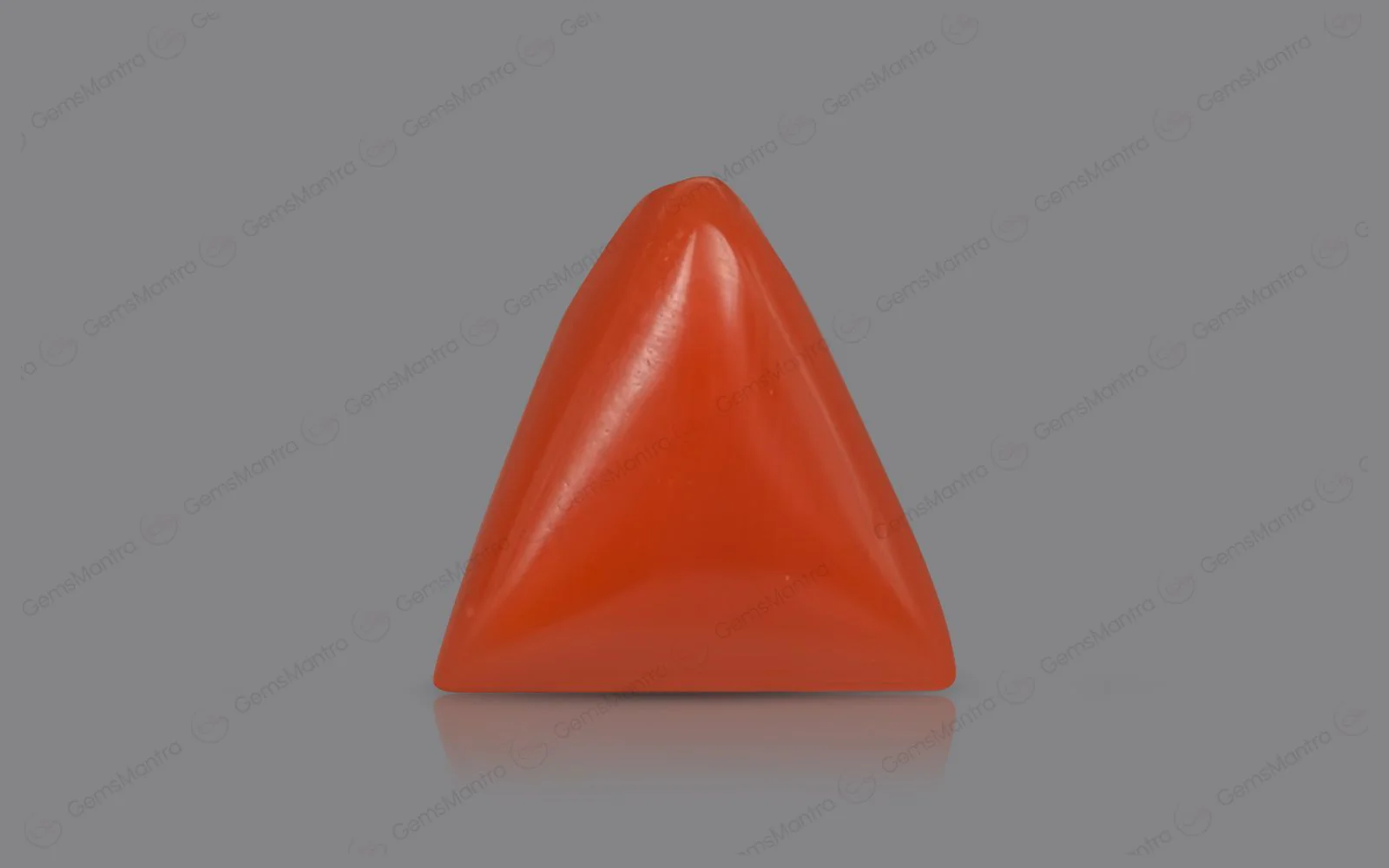 Red Coral - 5.29 Carats - Image 2