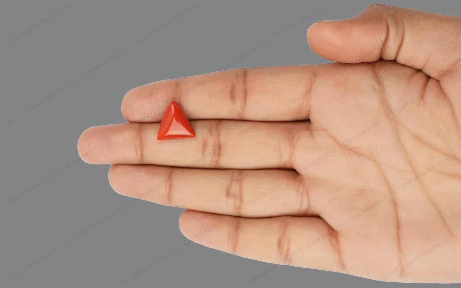 Red Coral - 5.29 Carats - Image 3