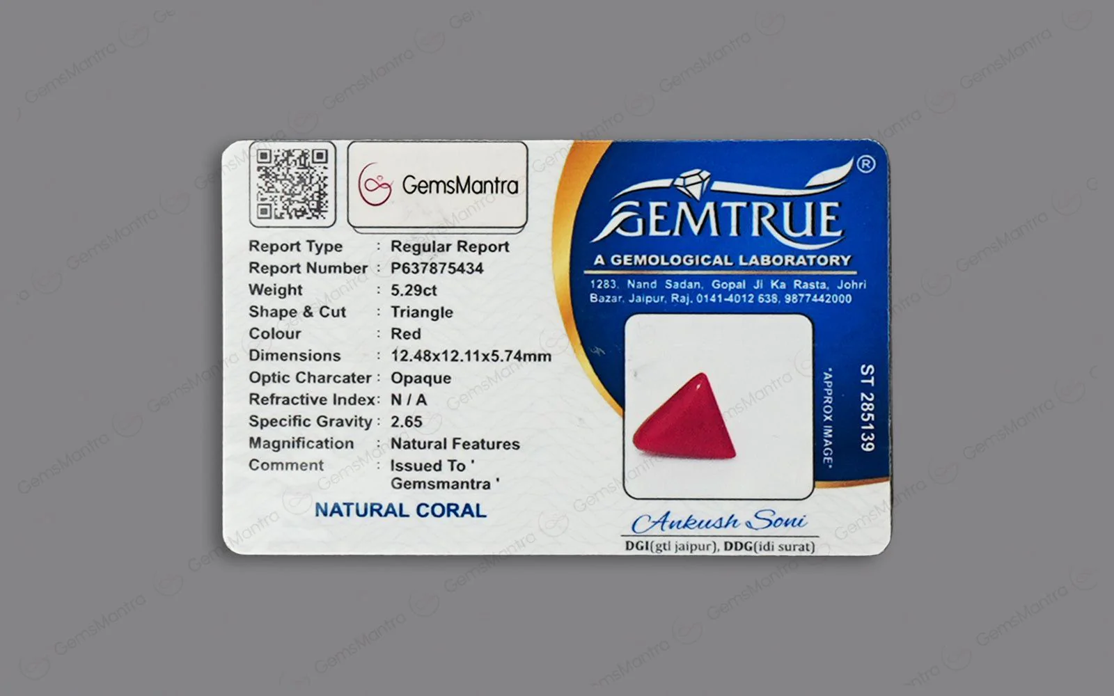 Red Coral - 5.29 Carats - Image 4