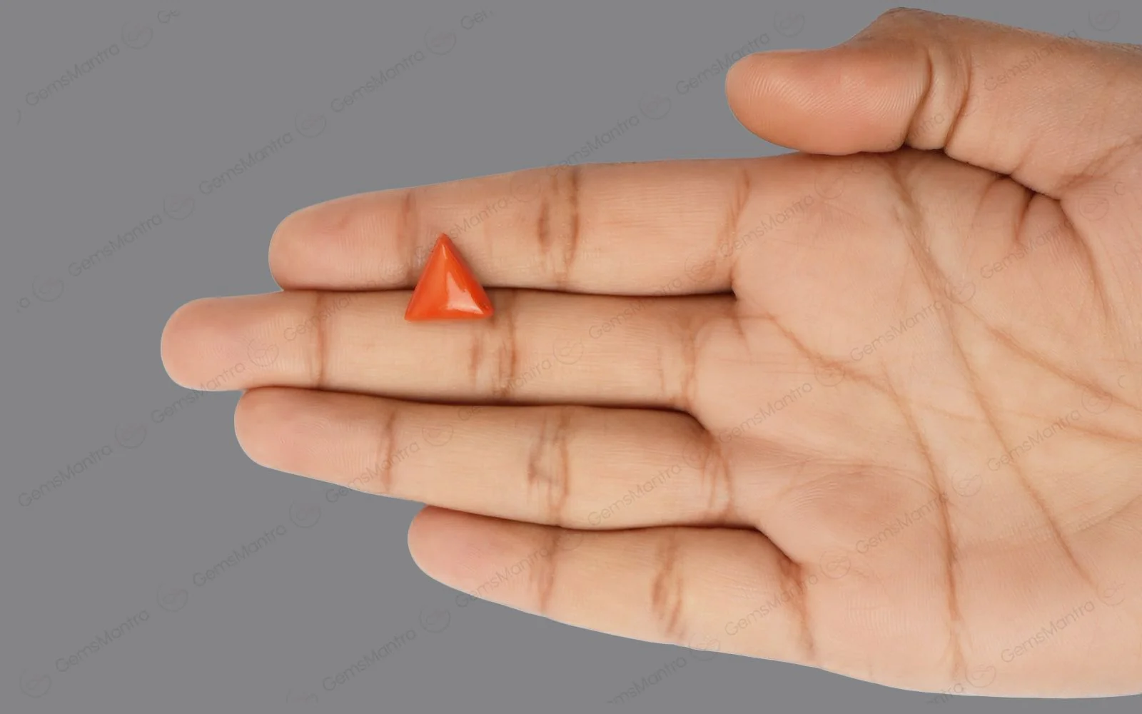 Red Coral - 5 Carats - Image 3