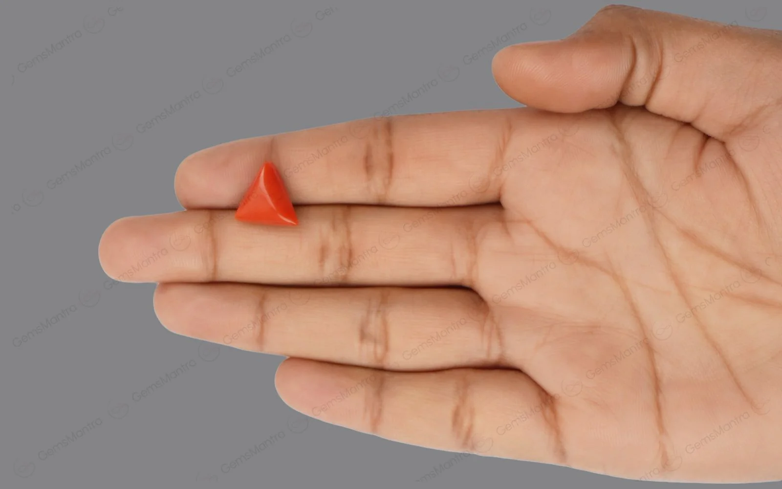 Red Coral - 5.57 Carats - Image 3