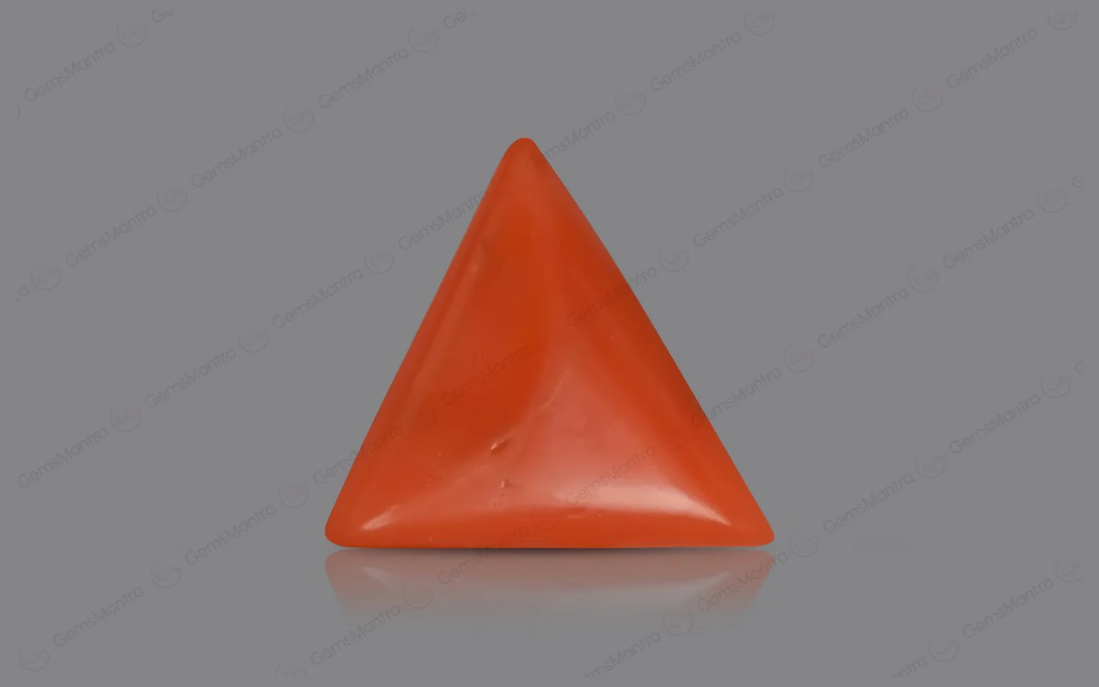 Red Coral - 4.71 Carats - Image 2