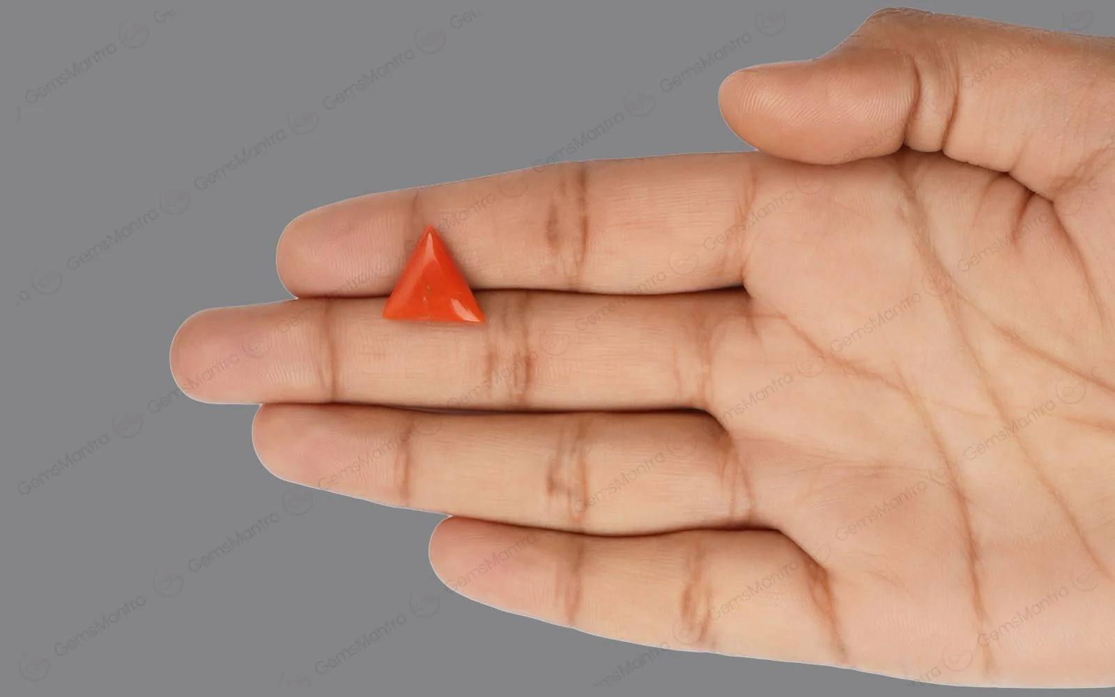 Red Coral - 4.71 Carats - Image 3