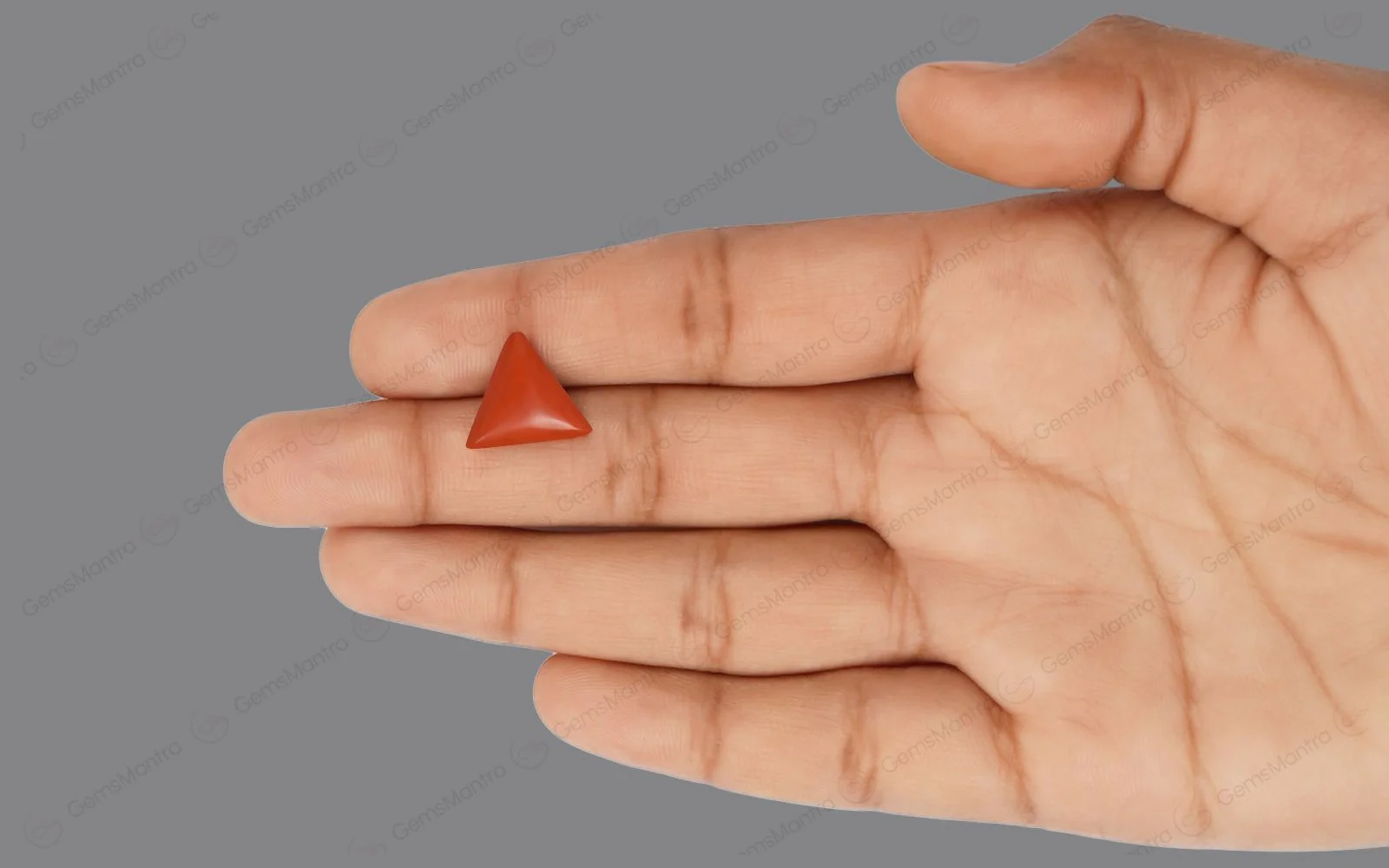 Red Coral - 4.56 Carats - Image 3