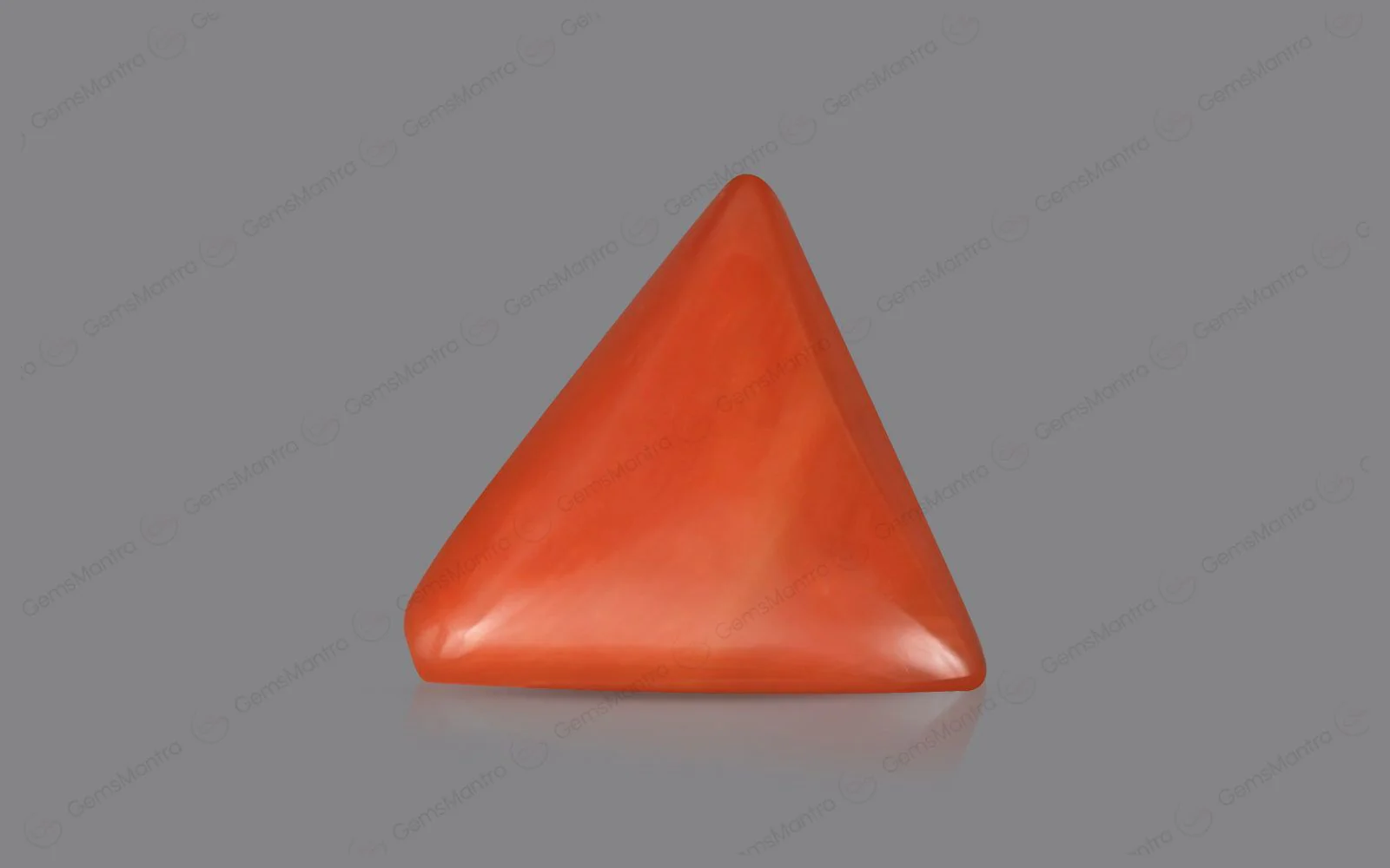 Red Coral - 4.8 Carats - Image 2