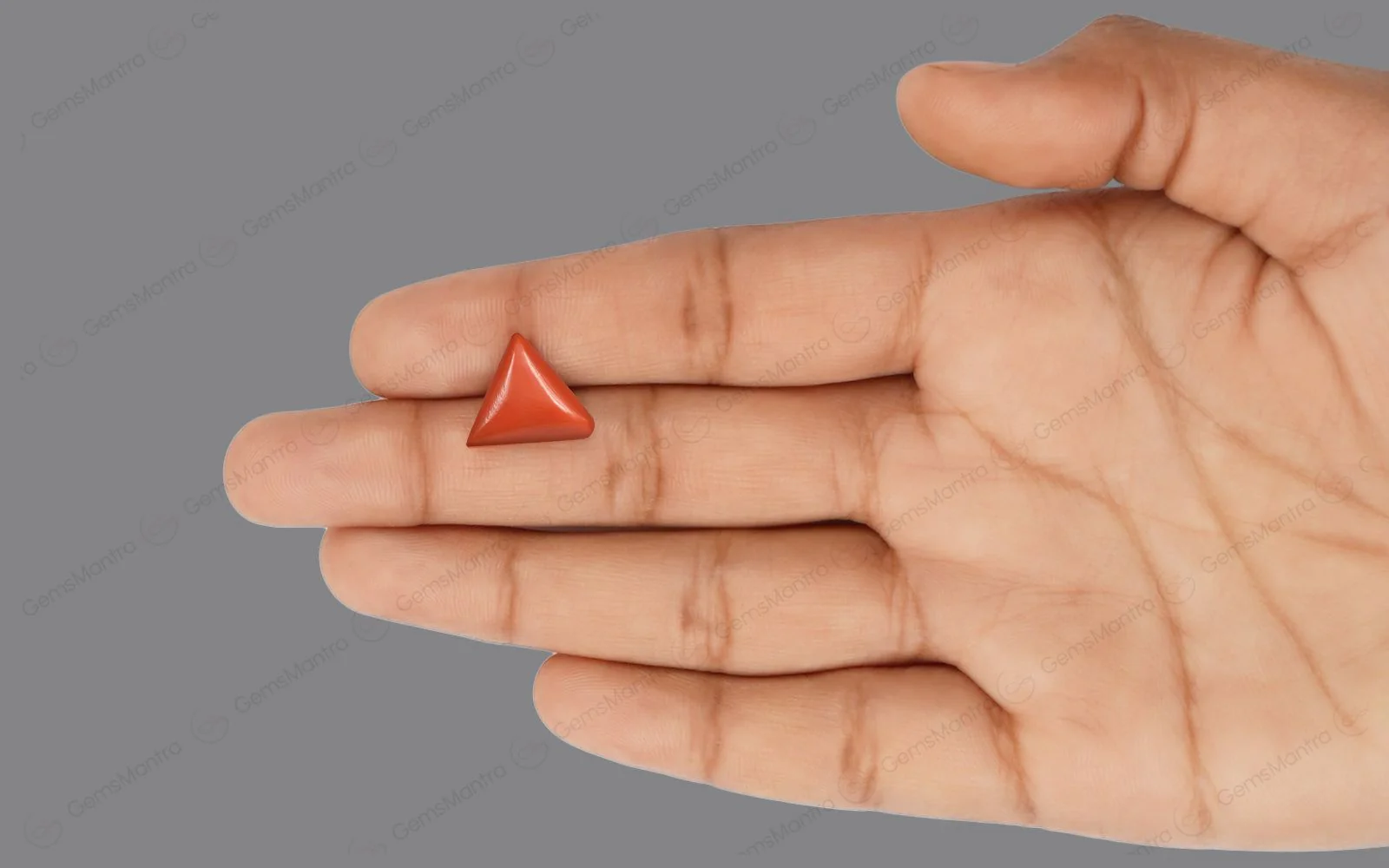 Red Coral - 4.8 Carats - Image 3