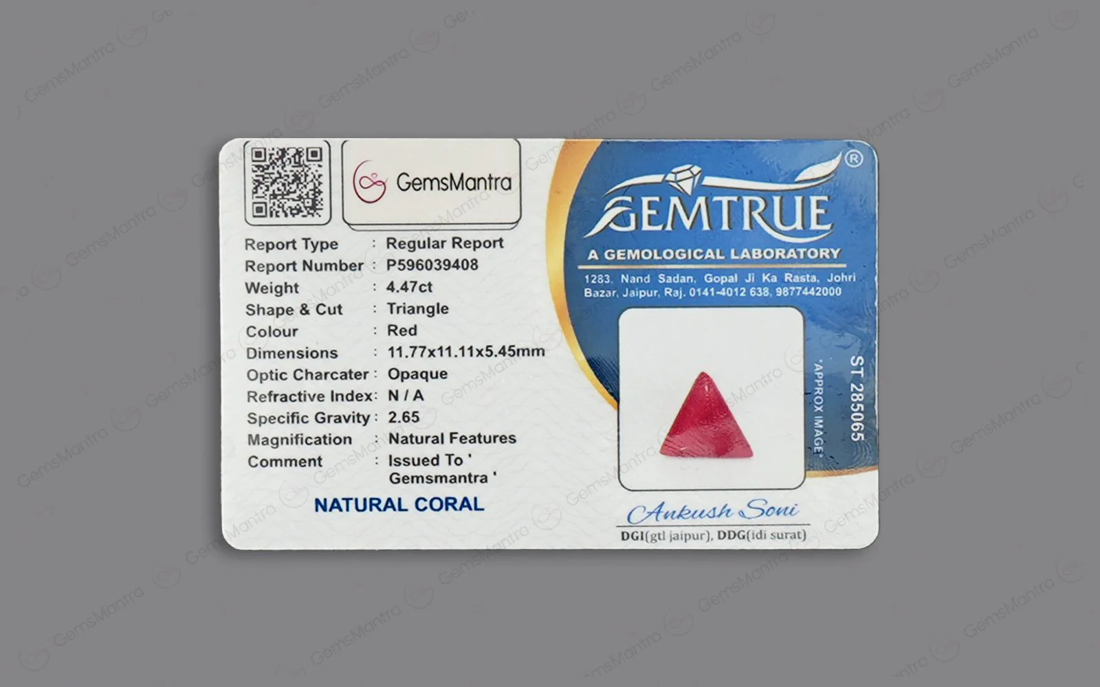 Red Coral - 4.47 Carats - Image 4