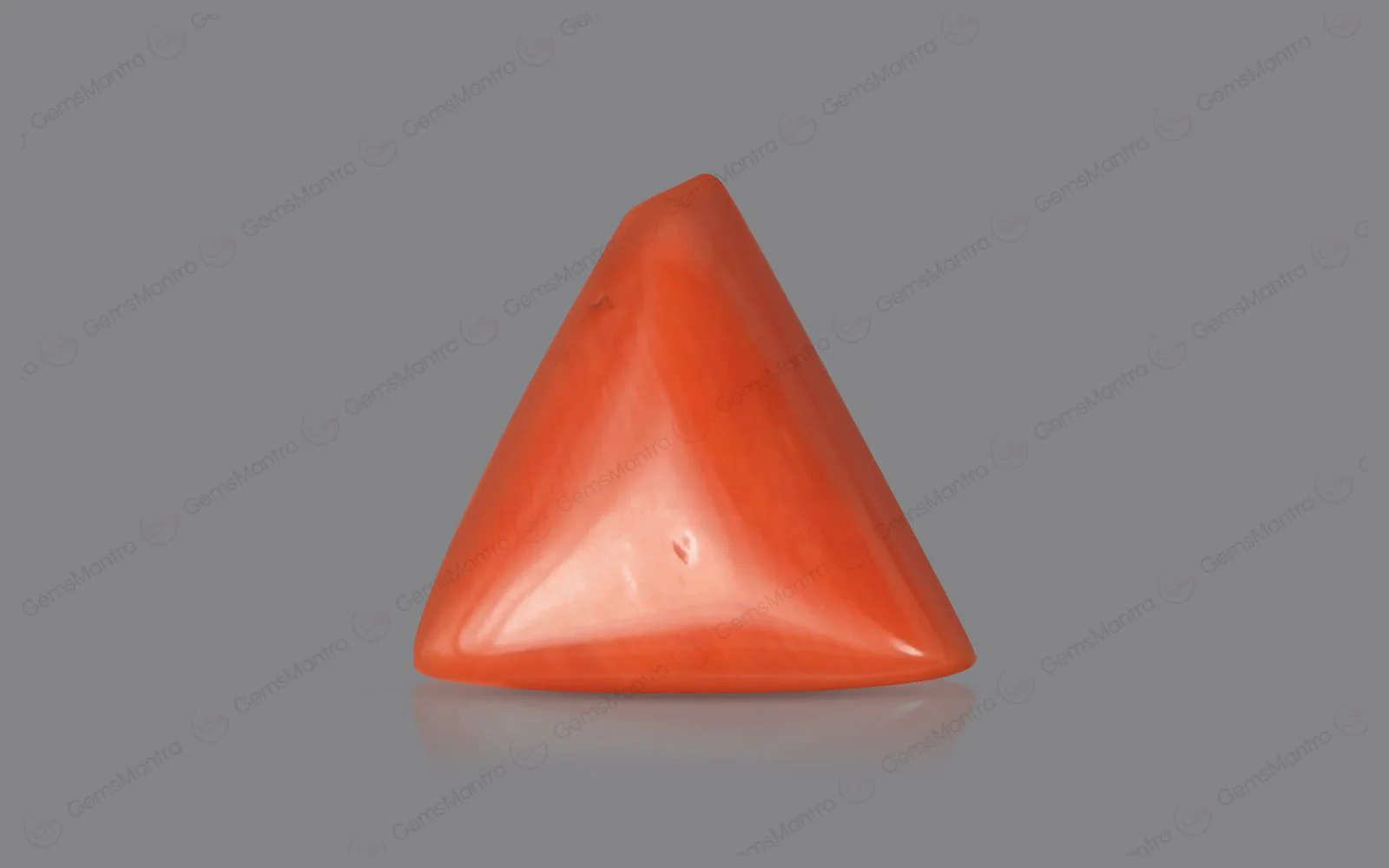 Red Coral - 4.92 Carats - Image 2