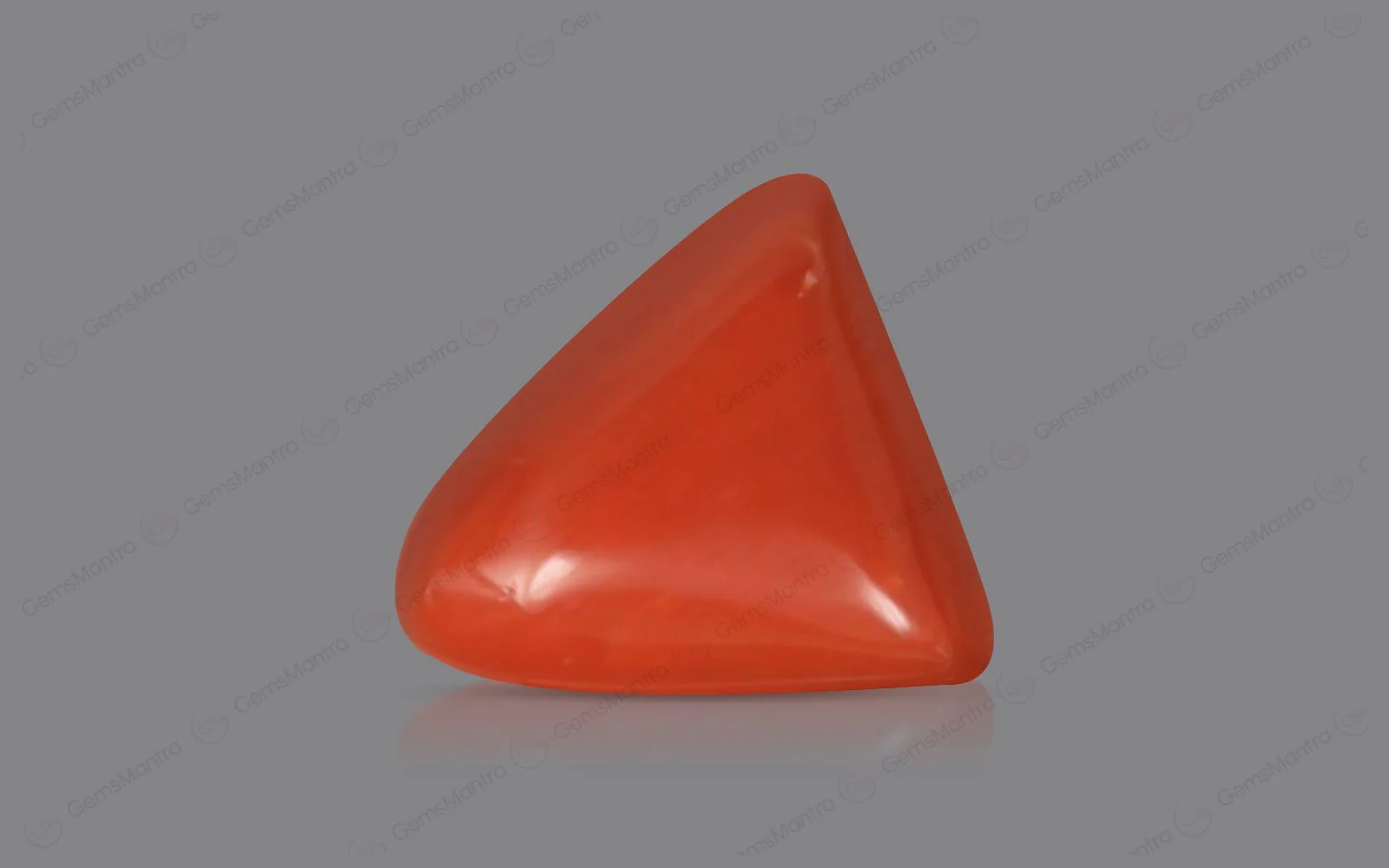 Red Coral - 4.76 Carats - Image 2