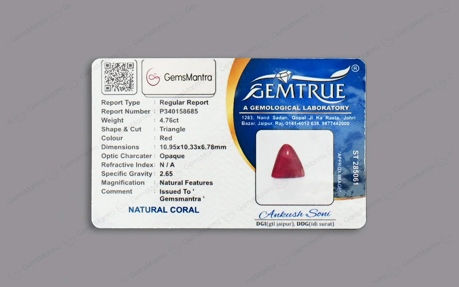 Red Coral - 4.76 Carats - Image 4
