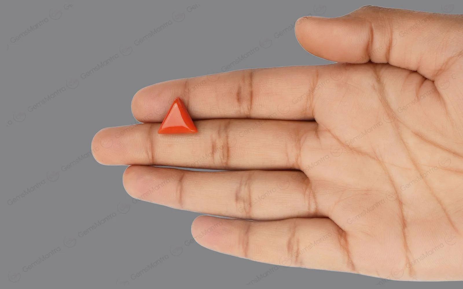 Red Coral - 4.32 Carats - Image 3