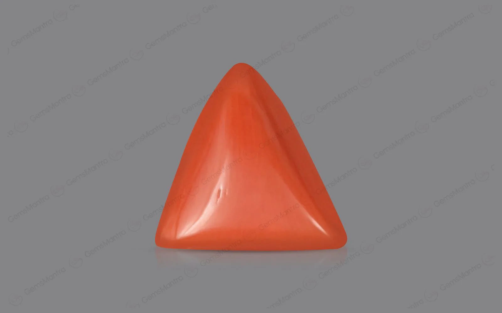 Red Coral - 4.54 Carats - Image 2