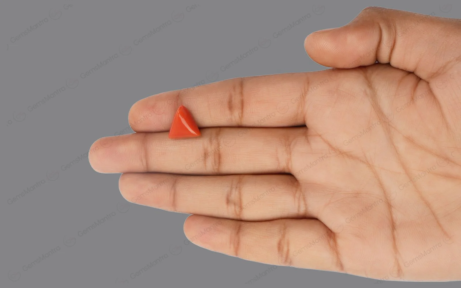 Red Coral - 4.54 Carats - Image 3