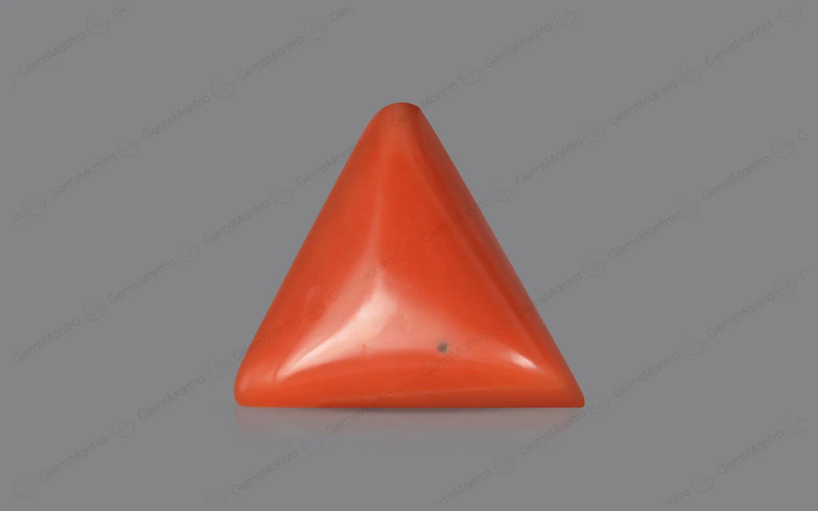 Red Coral - 4.7 Carats - Image 2