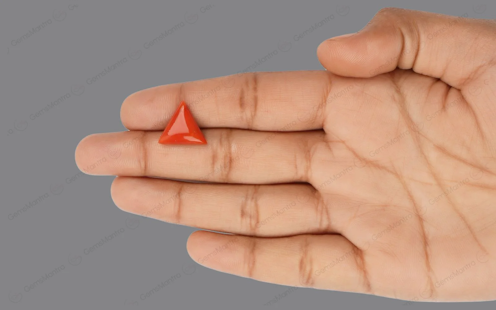 Red Coral - 5.08 Carats - Image 3
