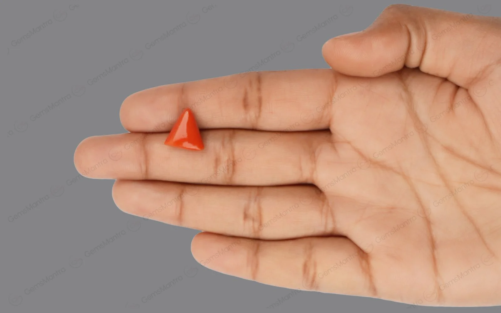 Red Coral - 5.27 Carats - Image 3