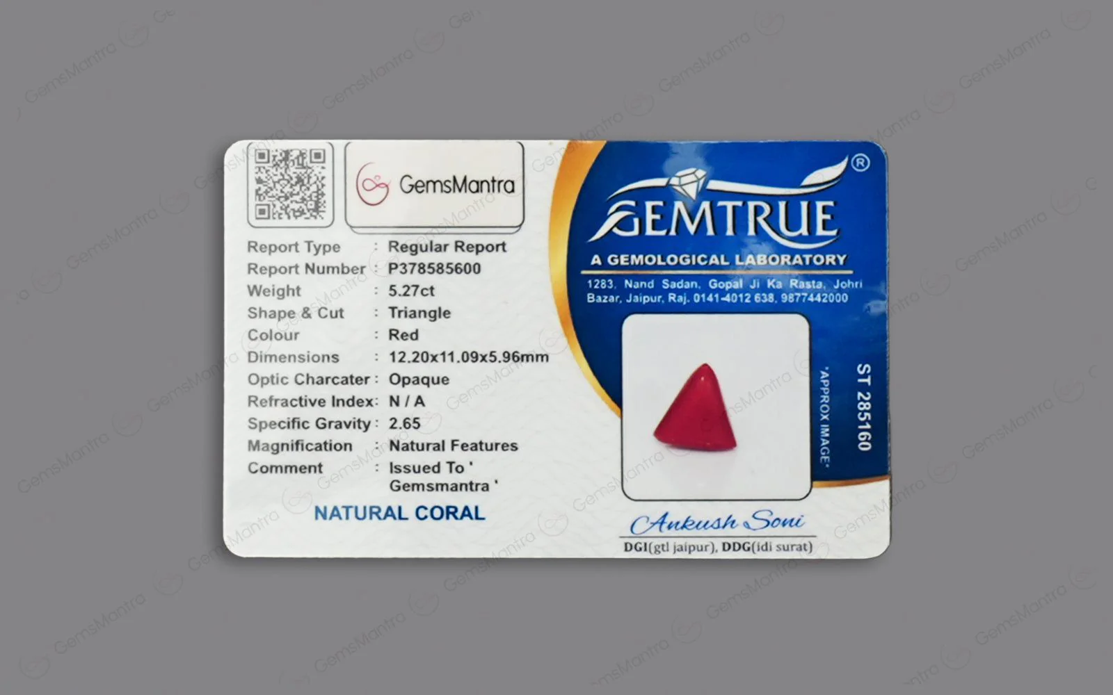 Red Coral - 5.27 Carats - Image 4
