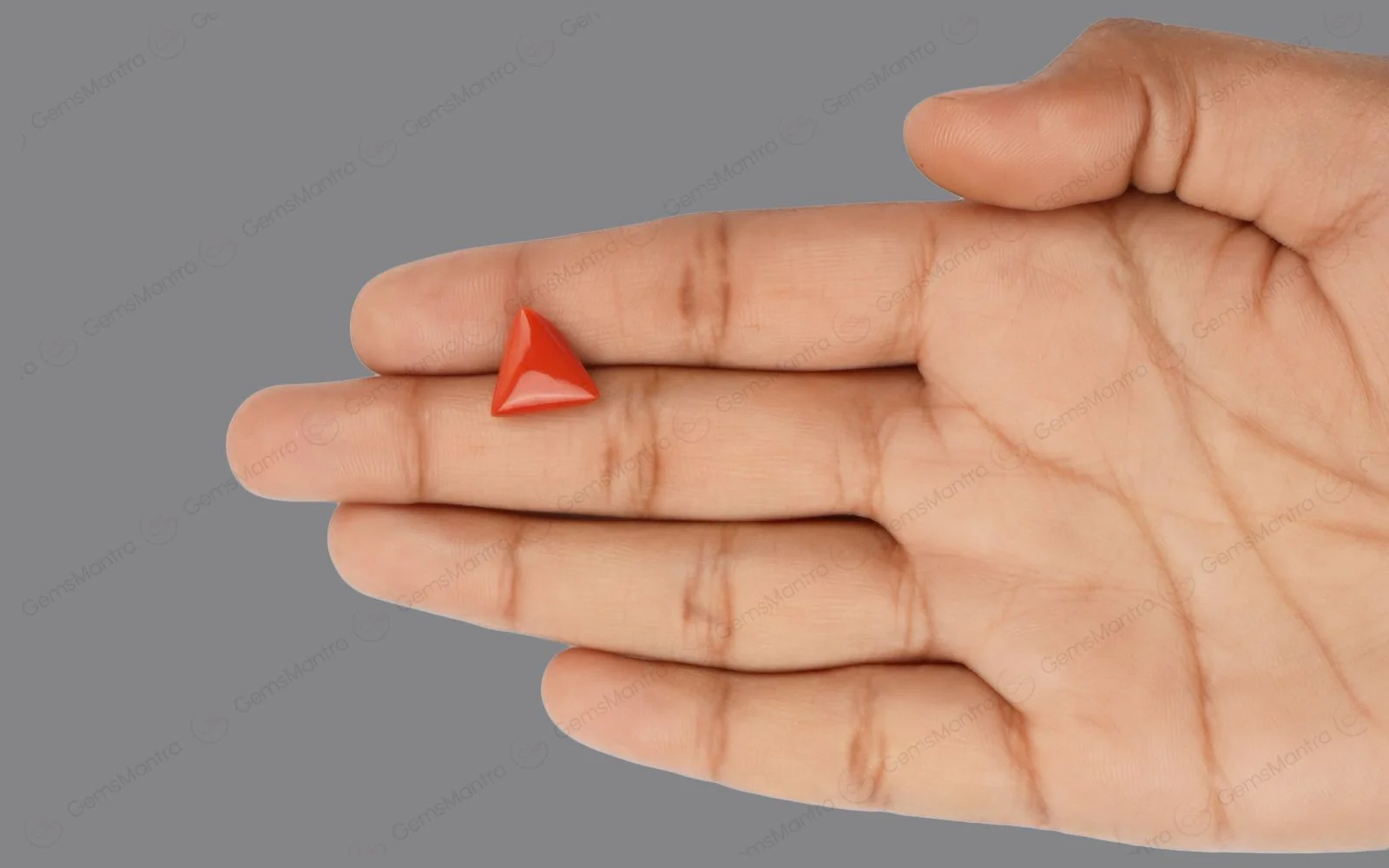 Red Coral - 5.05 Carats - Image 3