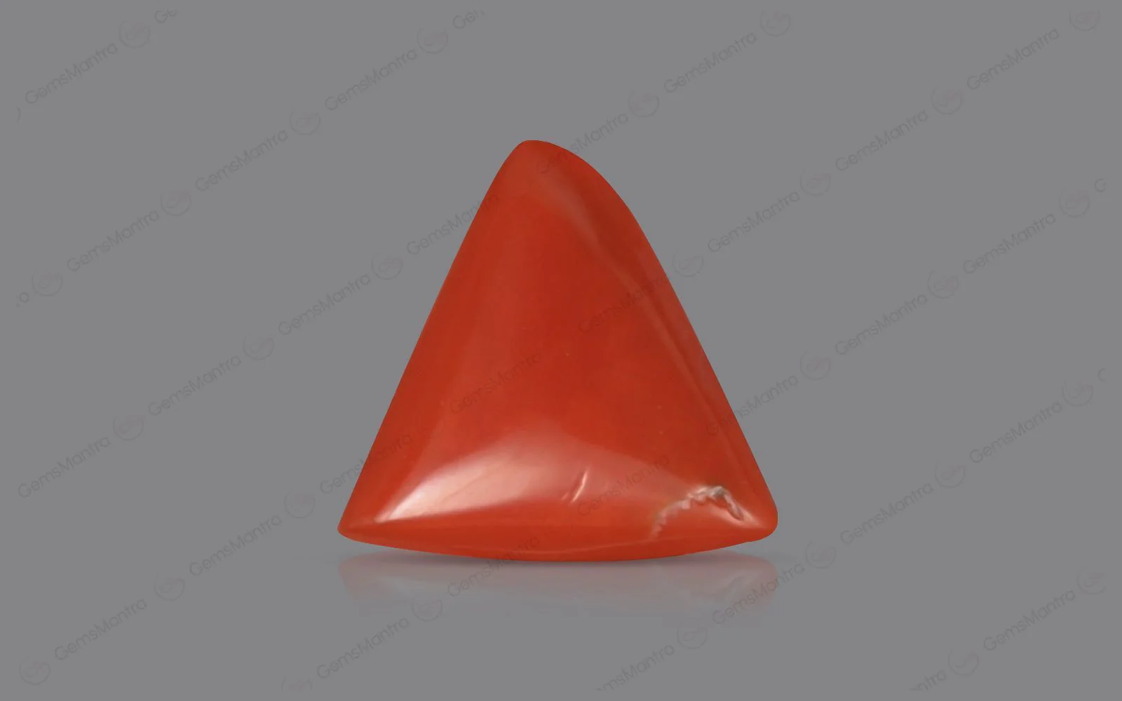 Red Coral - 5.4 Carats - Image 2