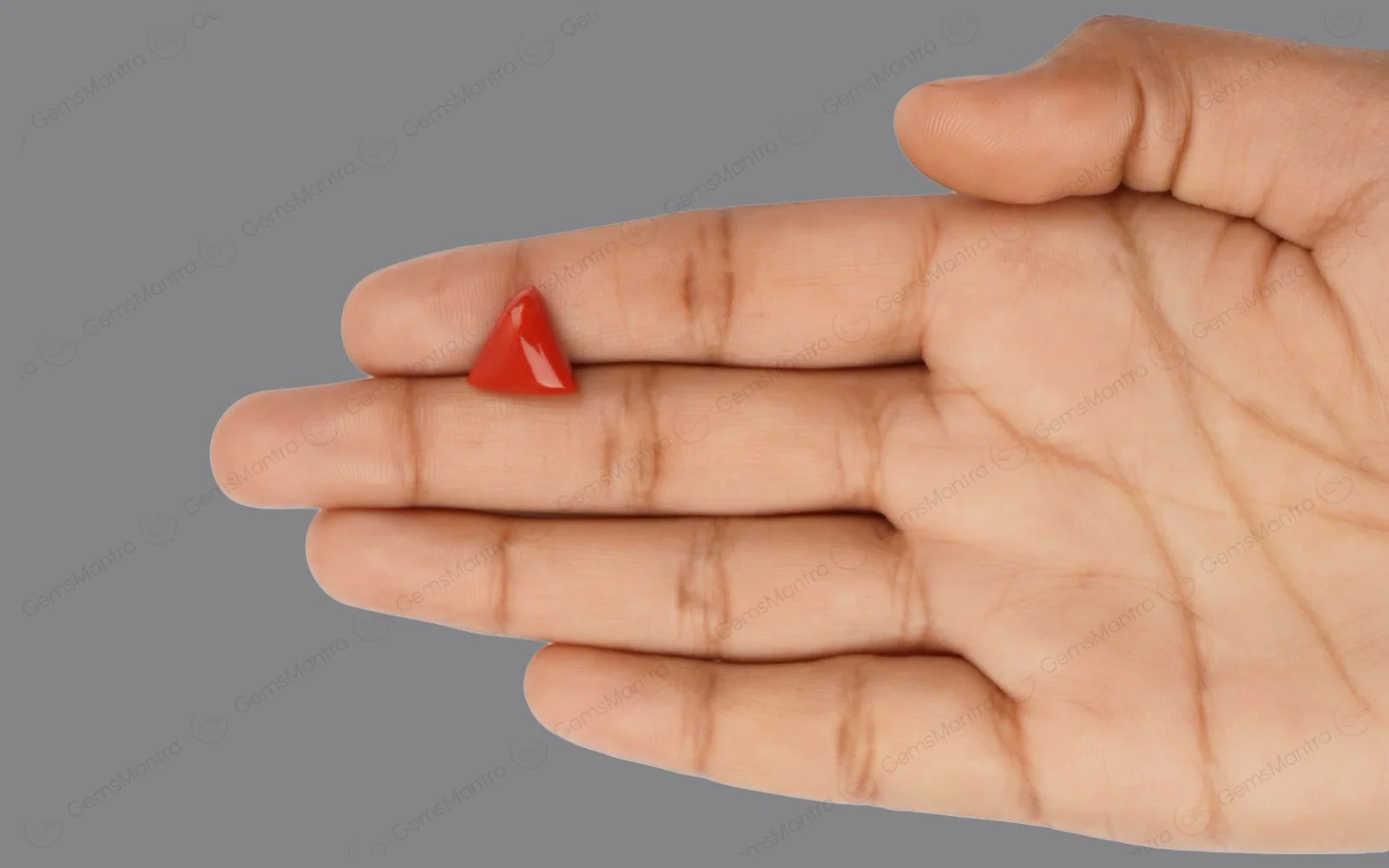 Red Coral - 5.4 Carats - Image 3