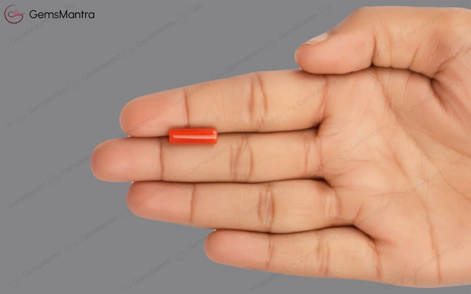 Red Coral - 3.56 Carats - Image 3