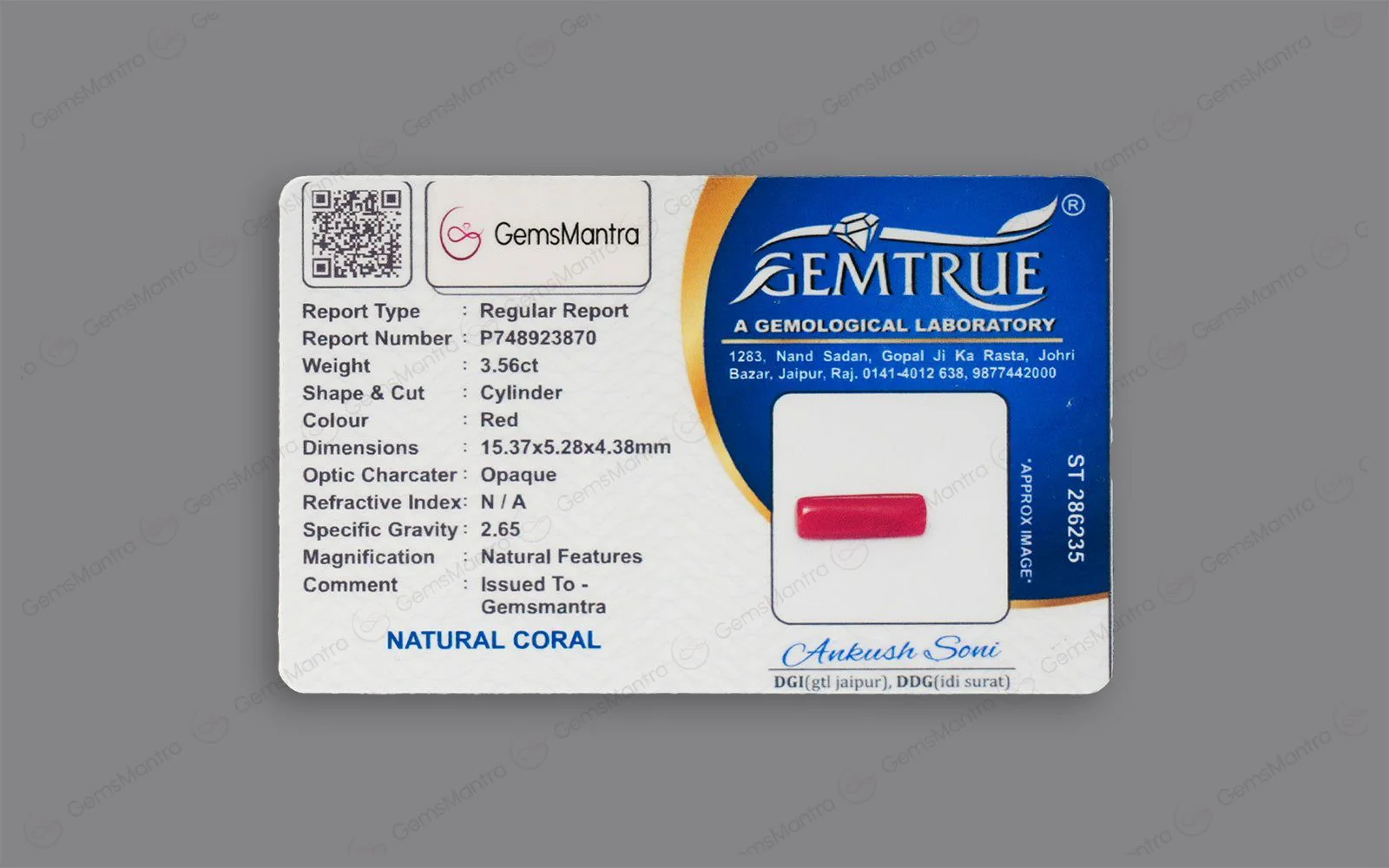 Red Coral - 3.56 Carats - Image 4