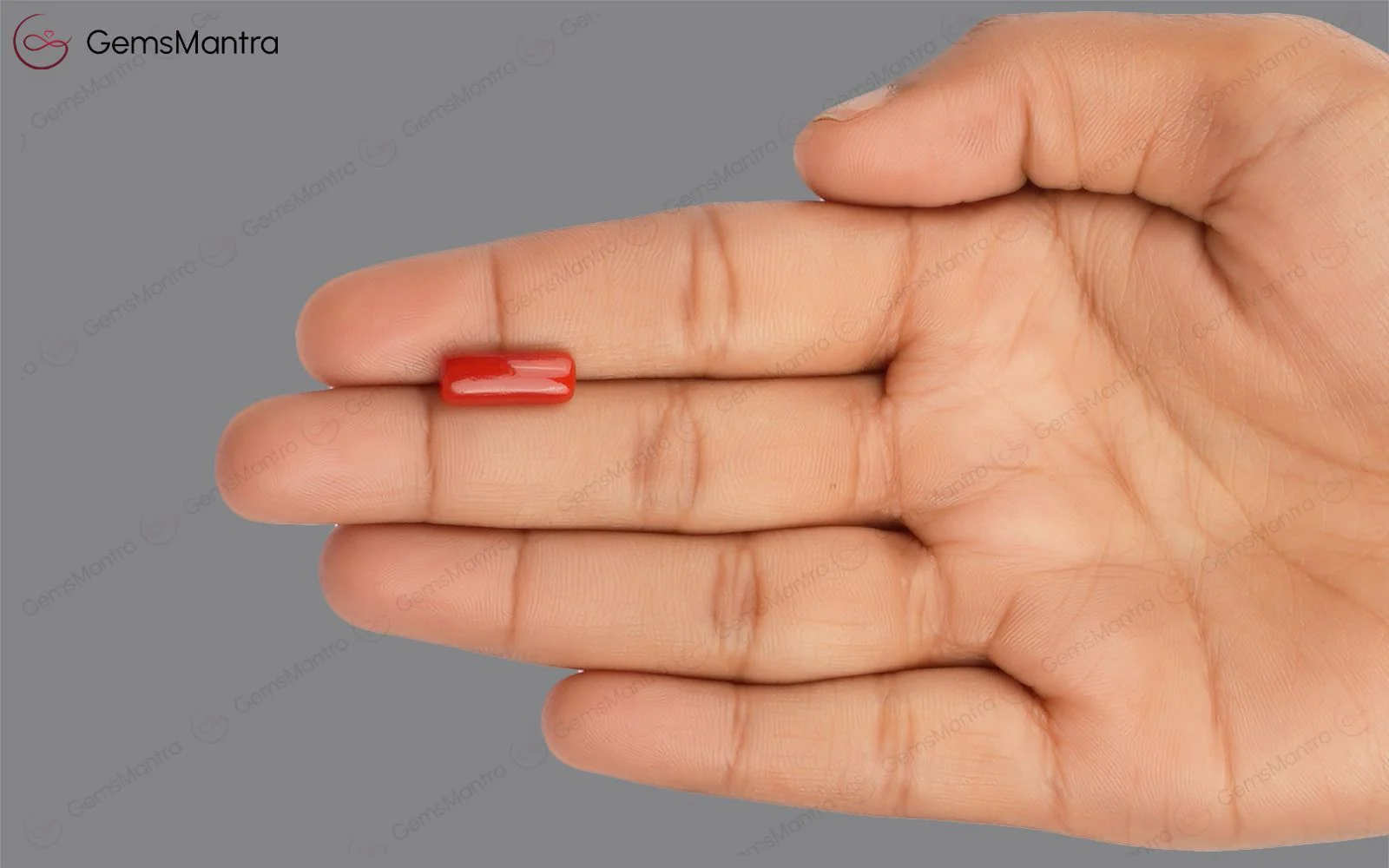 Red Coral - 3.44 Carats - Image 3