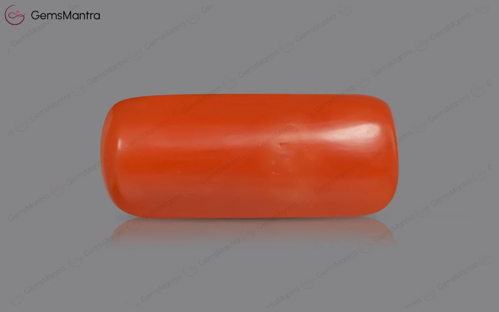 Red Coral - 3.55 Carats - Image 2