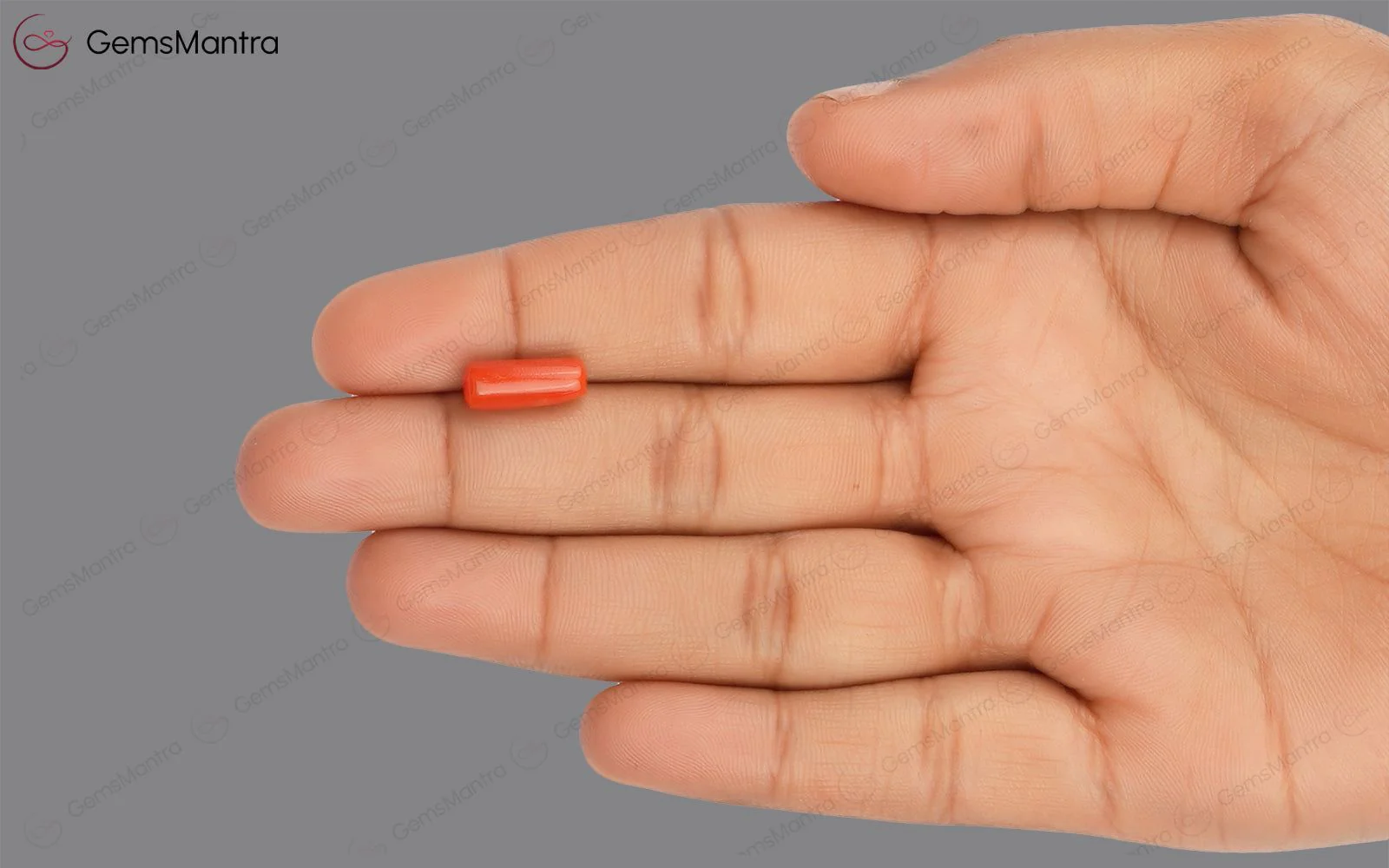 Red Coral - 3.55 Carats - Image 3