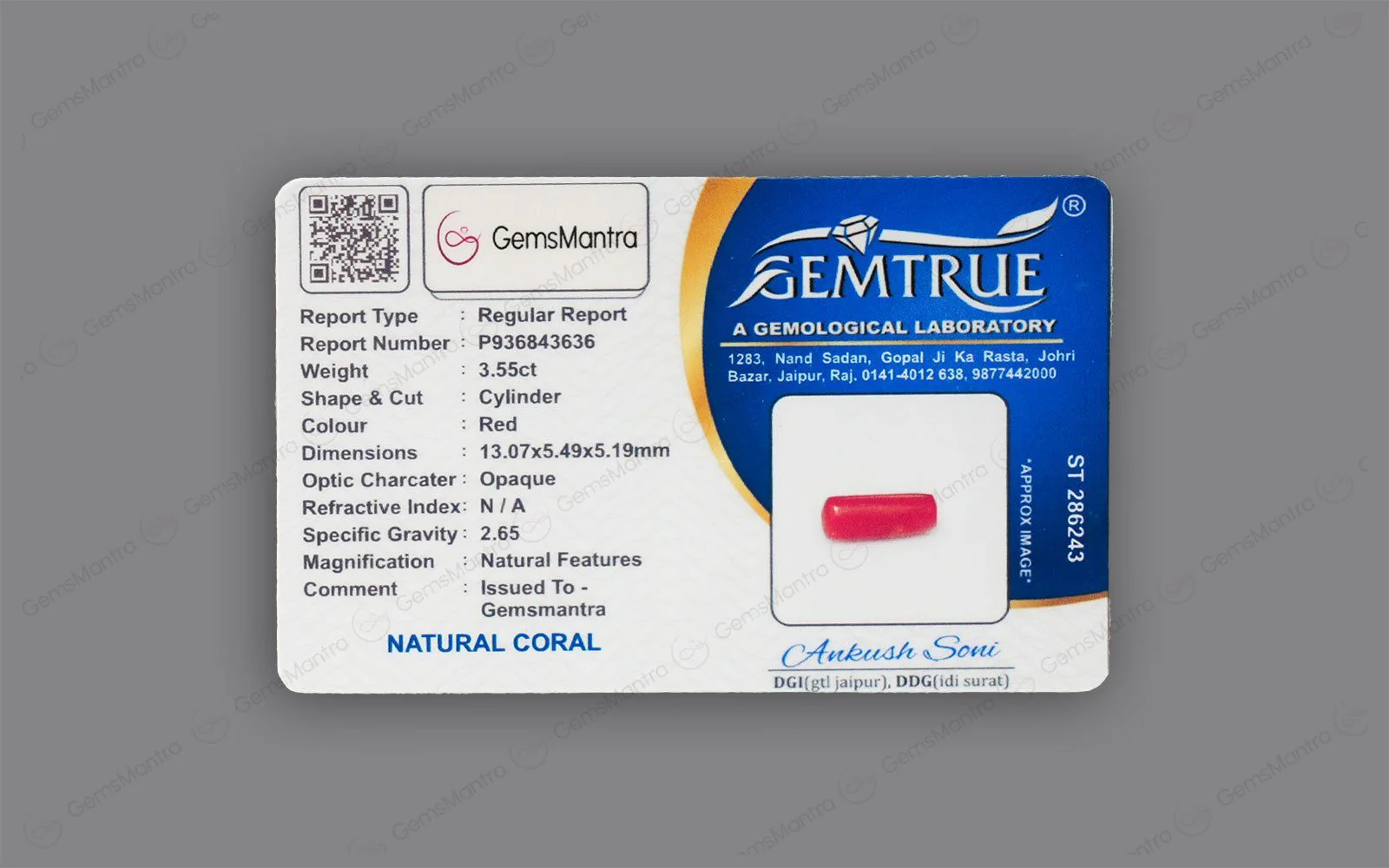 Red Coral - 3.55 Carats - Image 4