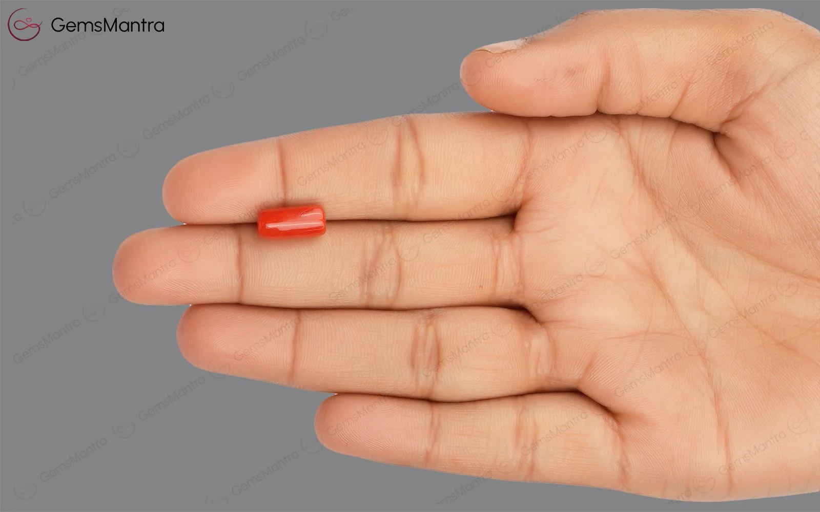 Red Coral - 3.62 Carats - Image 3