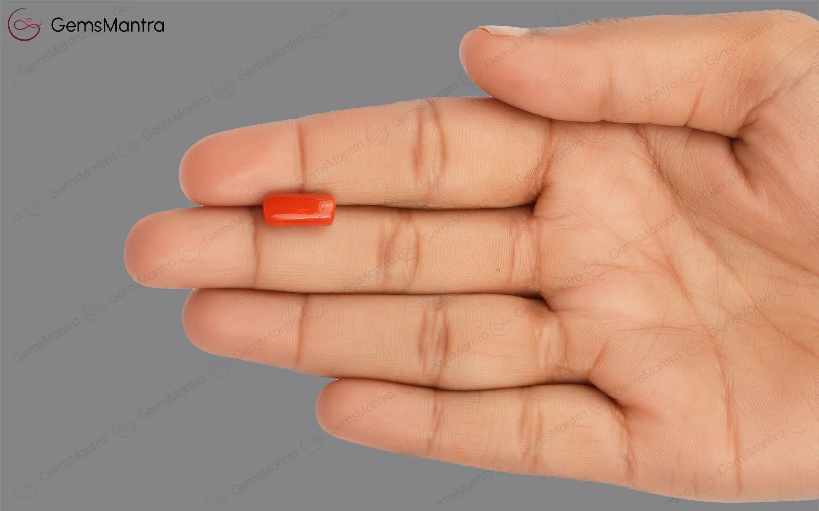 Red Coral - 3.59 Carats - Image 3