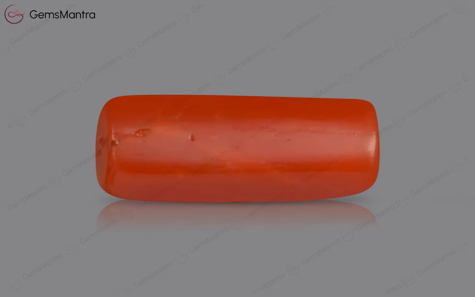 Red Coral - 3.58 Carats