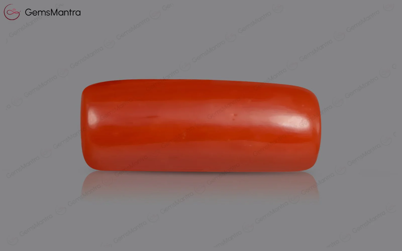 Red Coral - 3.58 Carats - Image 2