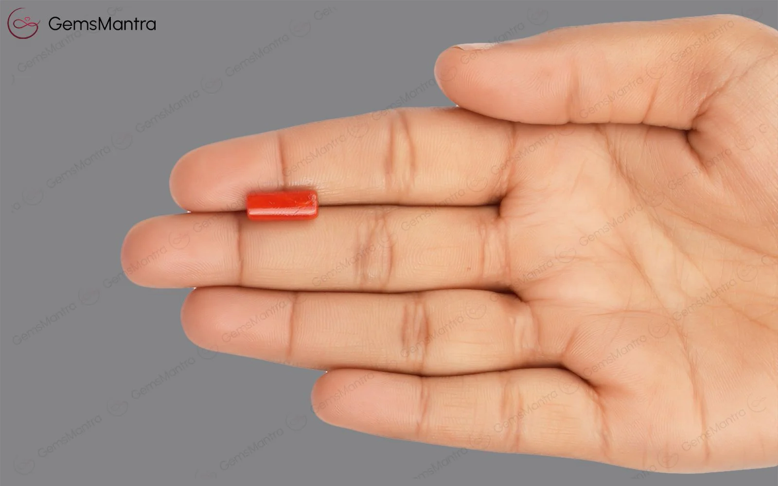Red Coral - 3.58 Carats - Image 3