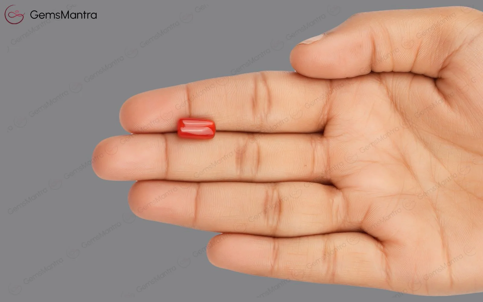 Red Coral - 3.51 Carats - Image 3