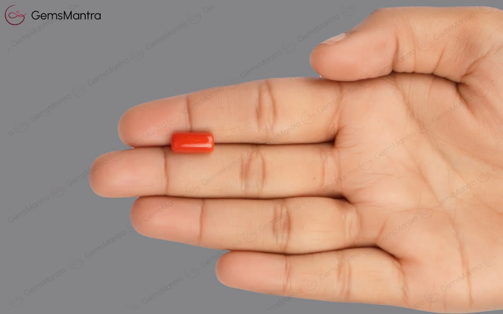 Red Coral - 3.73 Carats - Image 3