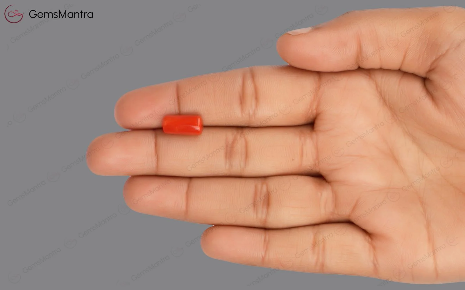 Red Coral - 3.87 Carats - Image 3
