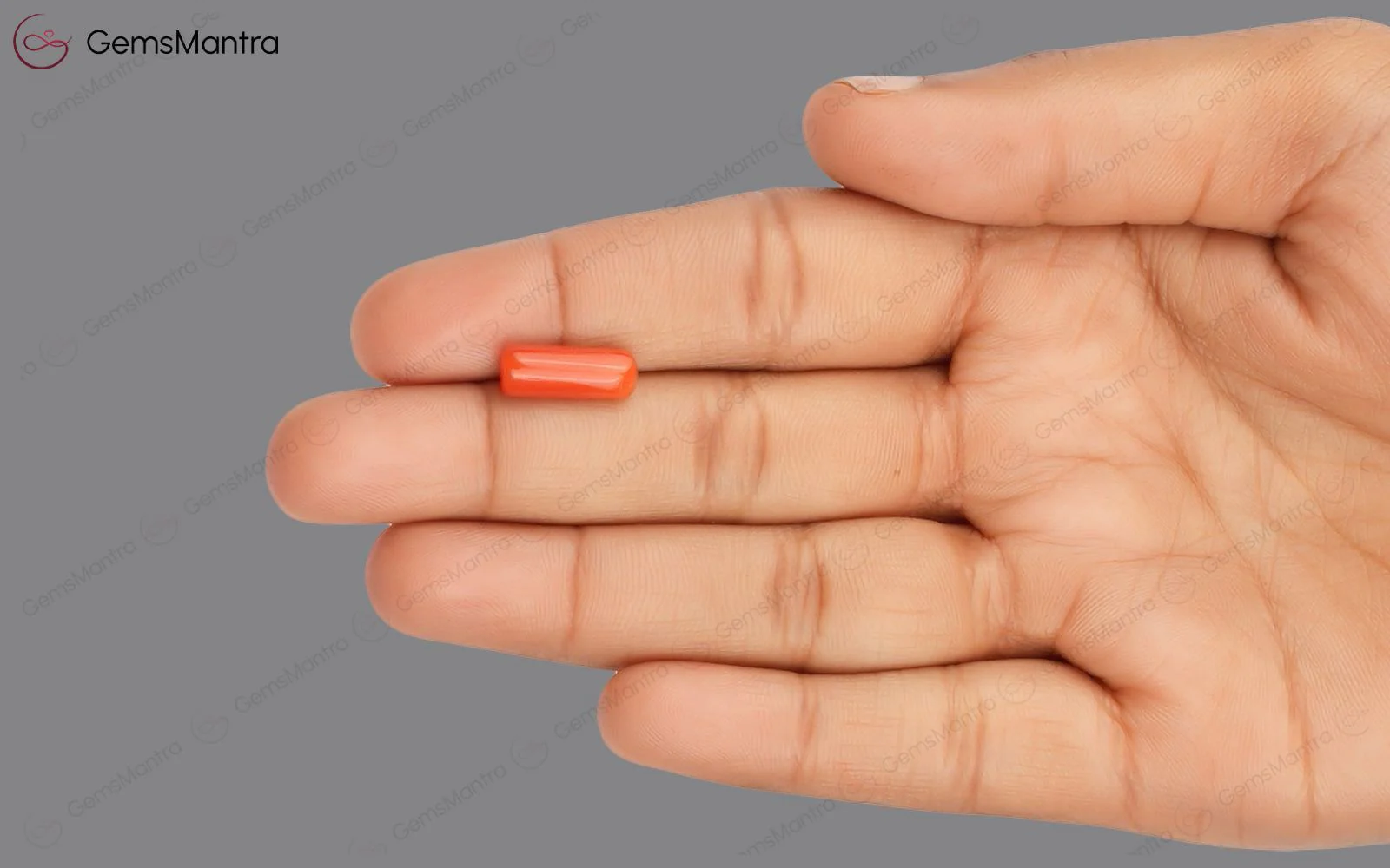 Red Coral - 3.67 Carats - Image 3