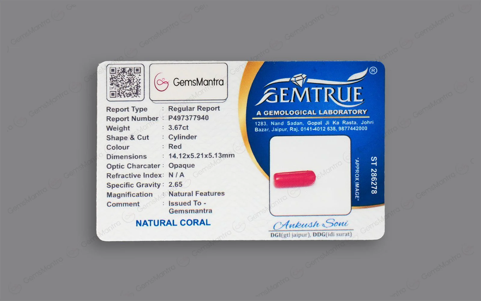 Red Coral - 3.67 Carats - Image 4