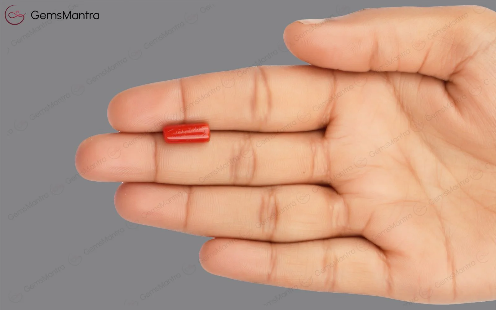 Red Coral - 3.73 Carats - Image 3