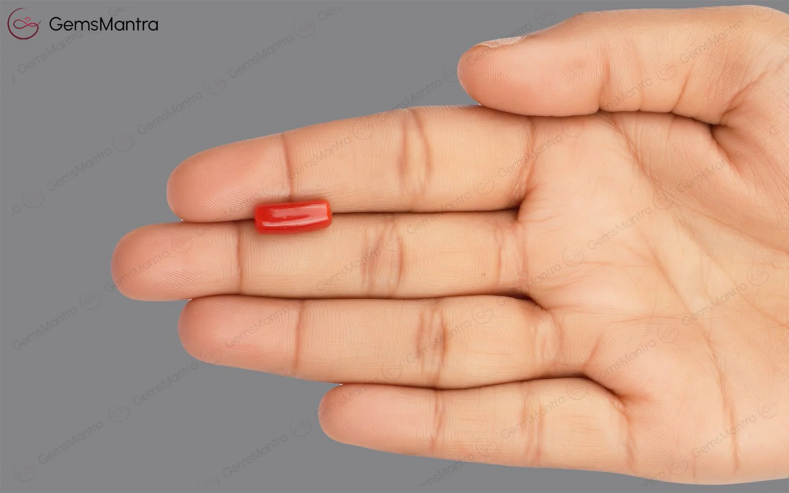 Red Coral - 3.77 Carats - Image 3