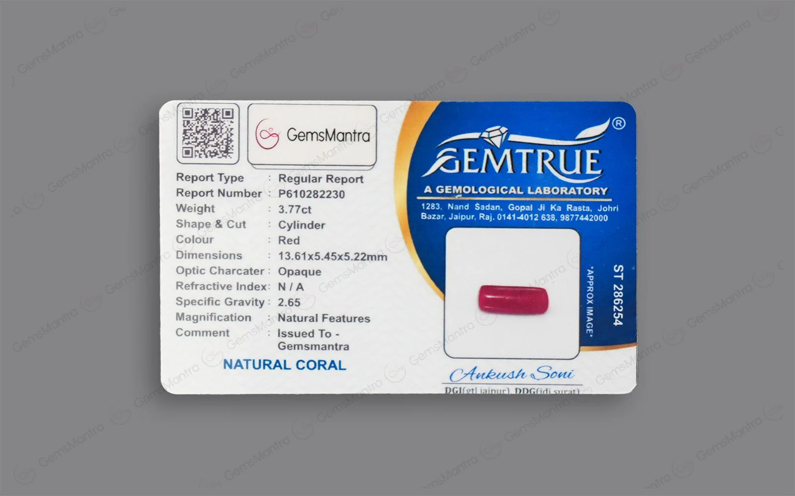 Red Coral - 3.77 Carats - Image 4