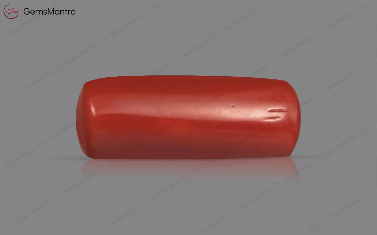 Red Coral - 3.72 Carats - Image 2